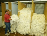 2014 The Wool Lab羊毛流行趋势