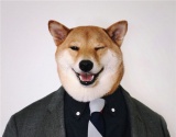 月入9万的男装“犬模”被围观 网友：汪星人高富帅